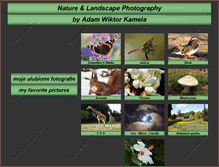 Tablet Screenshot of nature.kamela.org